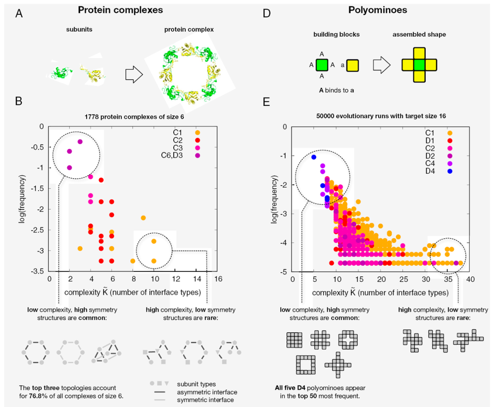 门徒娱乐官方：为什么“压缩即智能”？算法信息论与大模型、生命、智能的联系